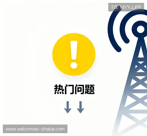 解答导航